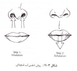 تنفس لب غنچه ای