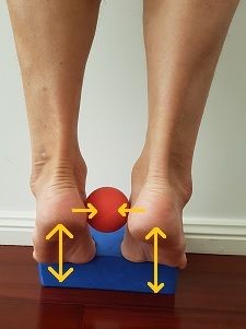 تمرین تقویتی عضلات قوس طولی پا