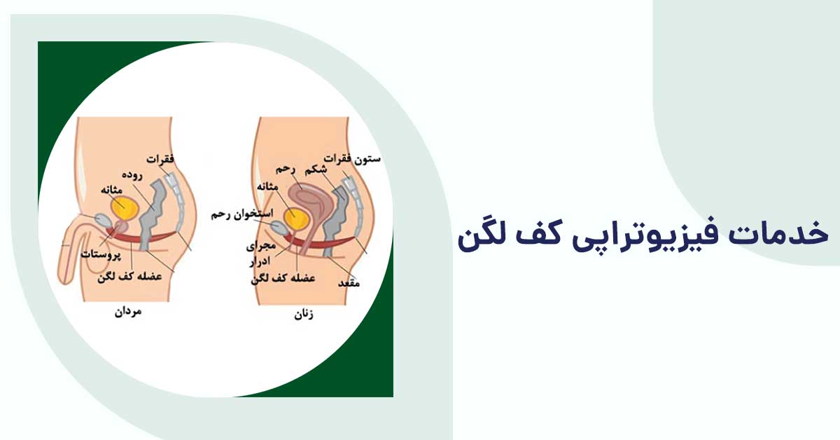 خدمات فیزیوتراپی کف لگن